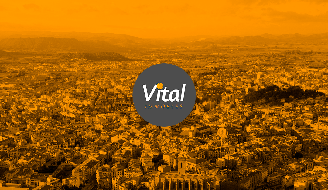 Vital Immobles